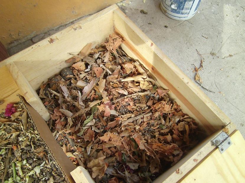 caja para la hibernacion