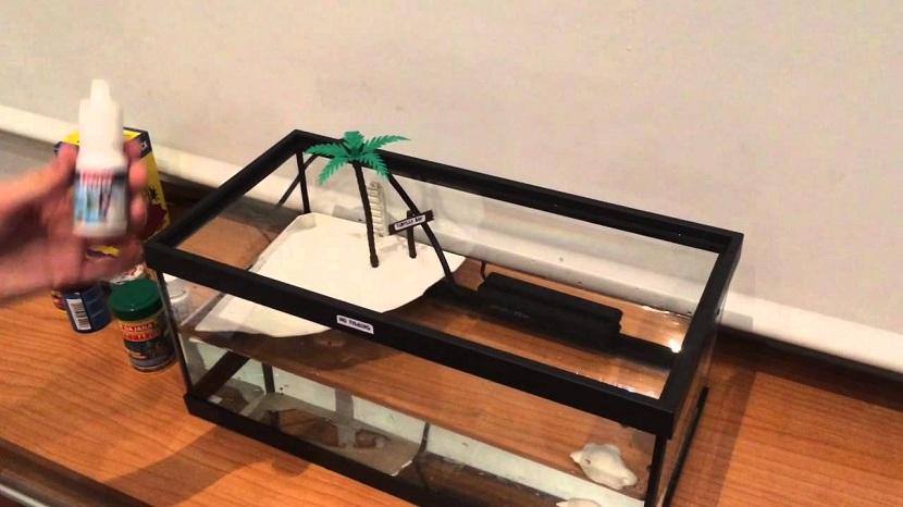 acuaterrario para tortuga