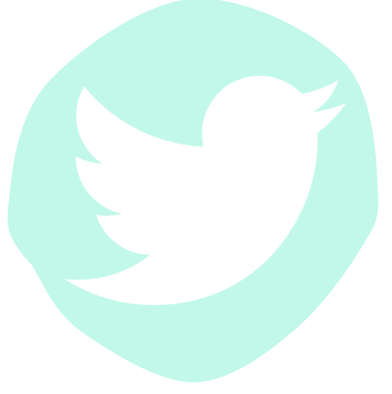 ICONO TWITTER BEMYDECO