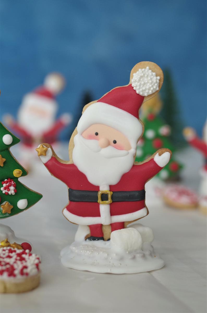 doctorcookies christmas cookies (5)