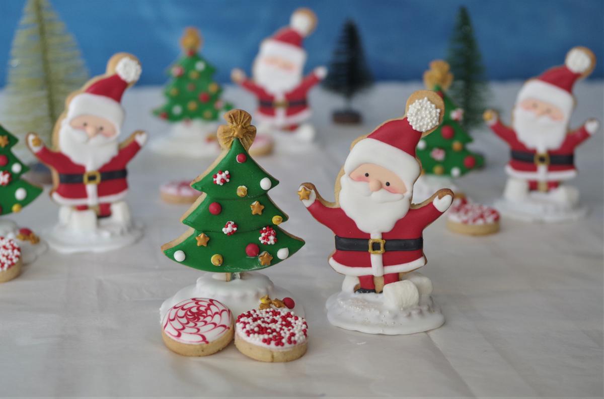 doctorcookies christmas cookies (3).JPG