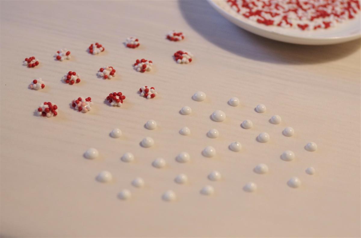 doctorcookies christmas cookies (16).JPG