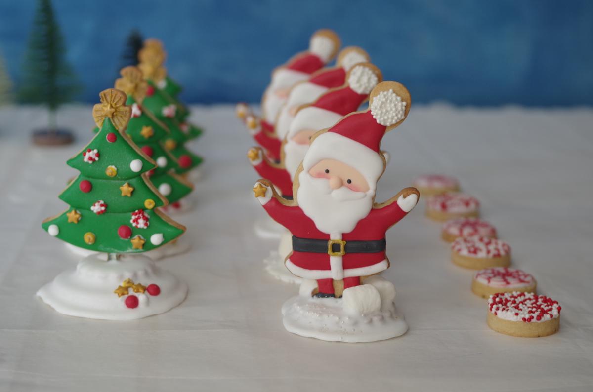 doctorcookies christmas cookies (7).JPG