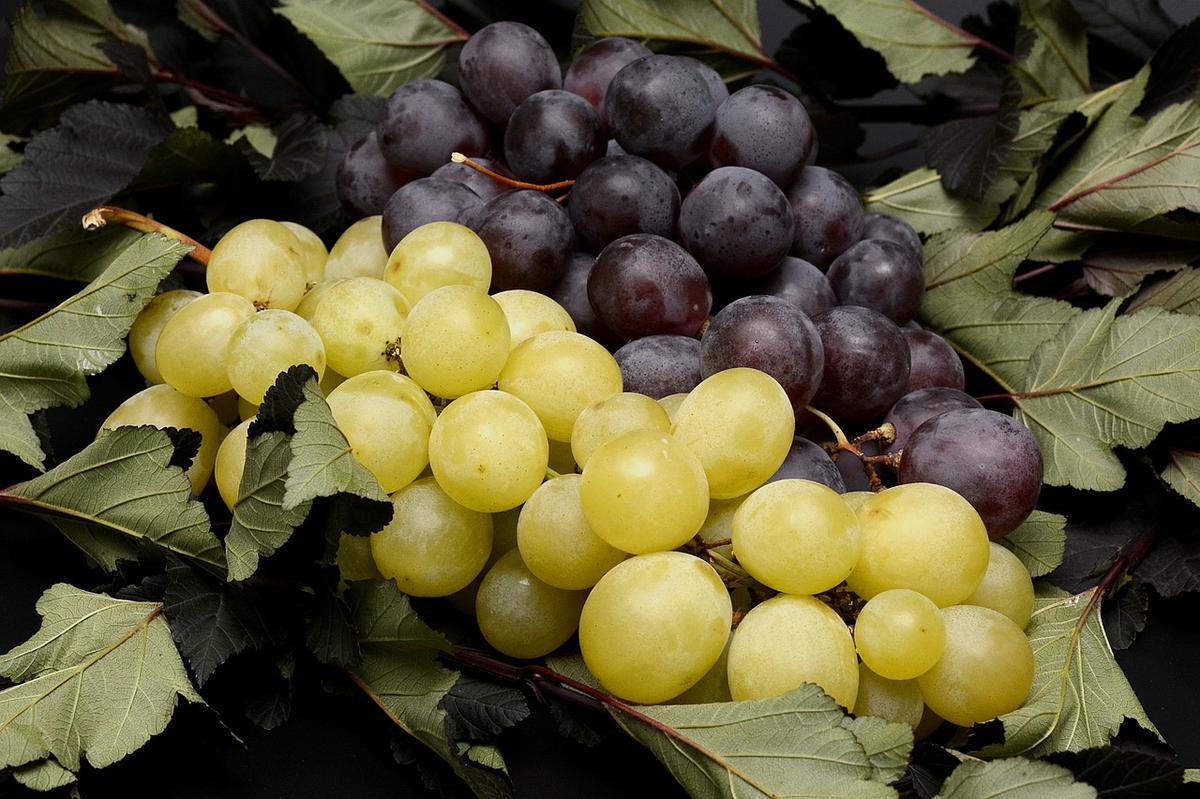 Uvas rojas y negras