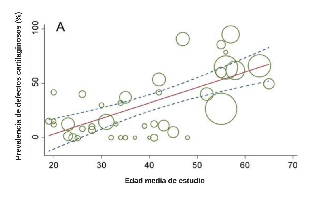 prevalencia cartilago de rodilla desgastado