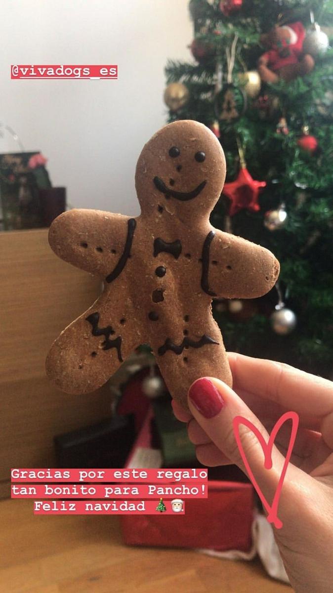 muñecodejengibre-vivadogs
