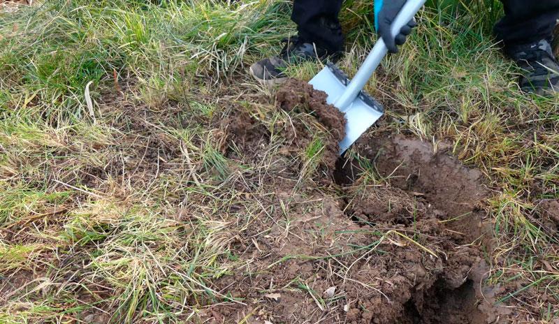 vaciado tierra estanque