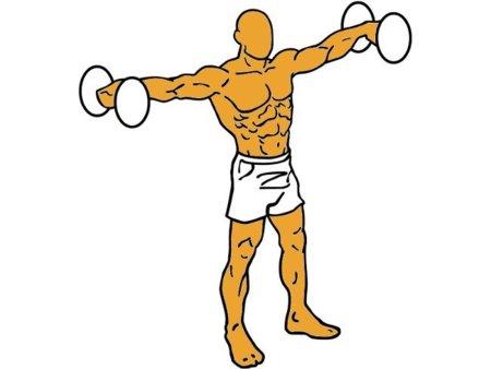 elevaciones laterales con mancueranas para deltoides anterior