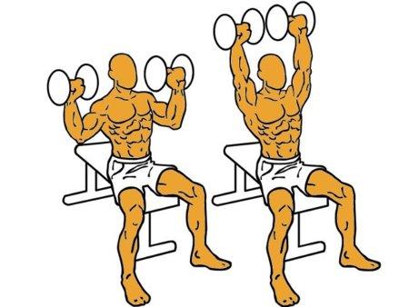 press militar con mancuerna para deltoides posterior