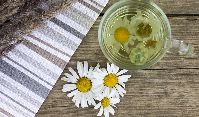 Cómo aportar tersura a la piel de forma natural - Trucos de belleza caseros