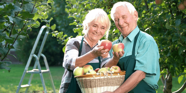 frases bodas de rubi