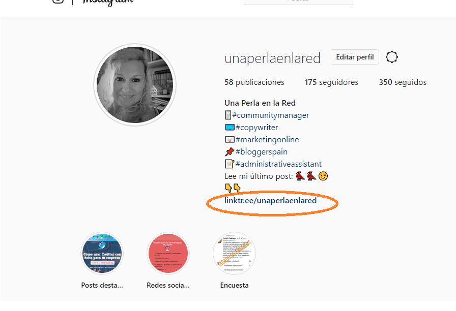 linktree para instagram- una perla en la red