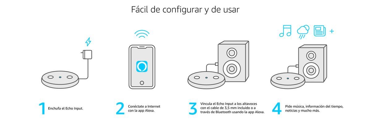 Cómo usar el Echo Input