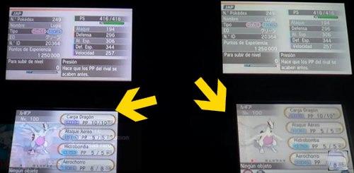 Clonacion 13 clonacion exitosa