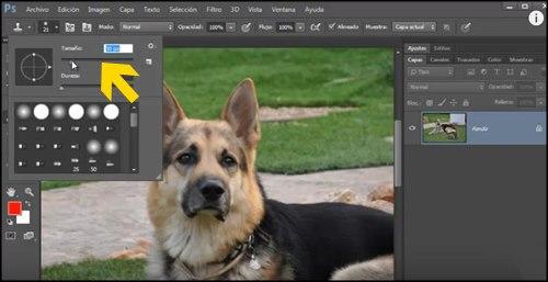 Herramientas de tampon de clonar