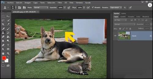 áreas a modificar clonación en Photoshop