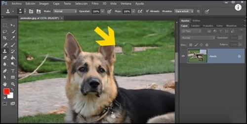 Clonacion de area seleccionada