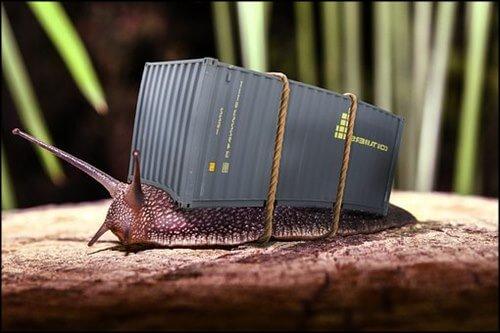 Clonar imagen con photoshop