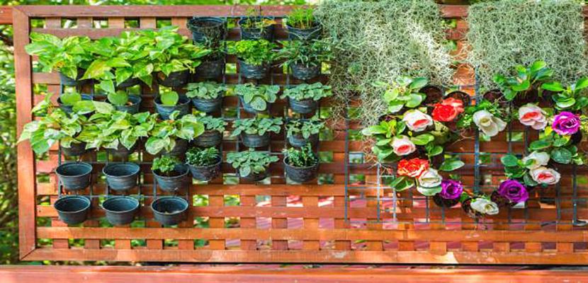 Jardines con macetas
