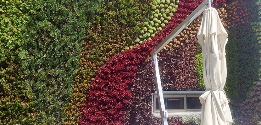 Jardines verticales