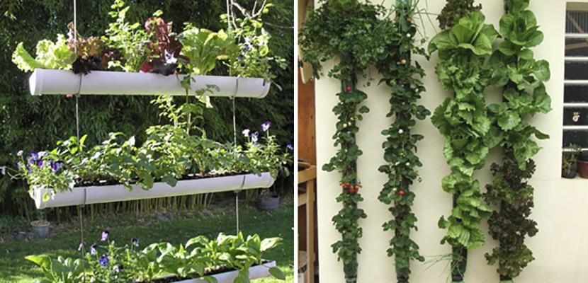 Jardines caseros