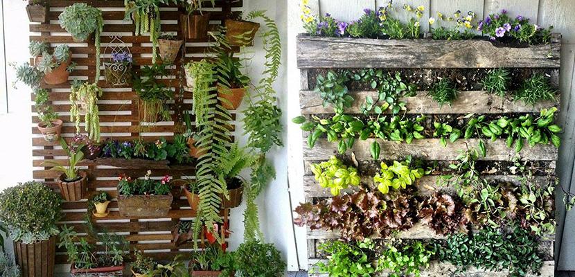 Jardines verticales