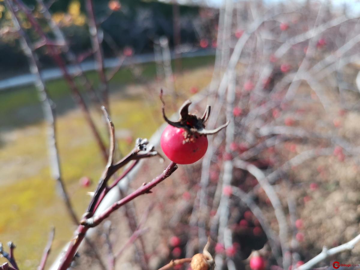 Cámara frontal del Honor View 20