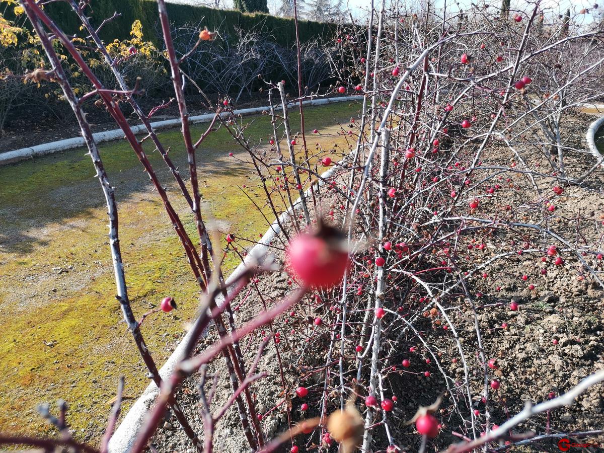 Cámara frontal del Honor View 20