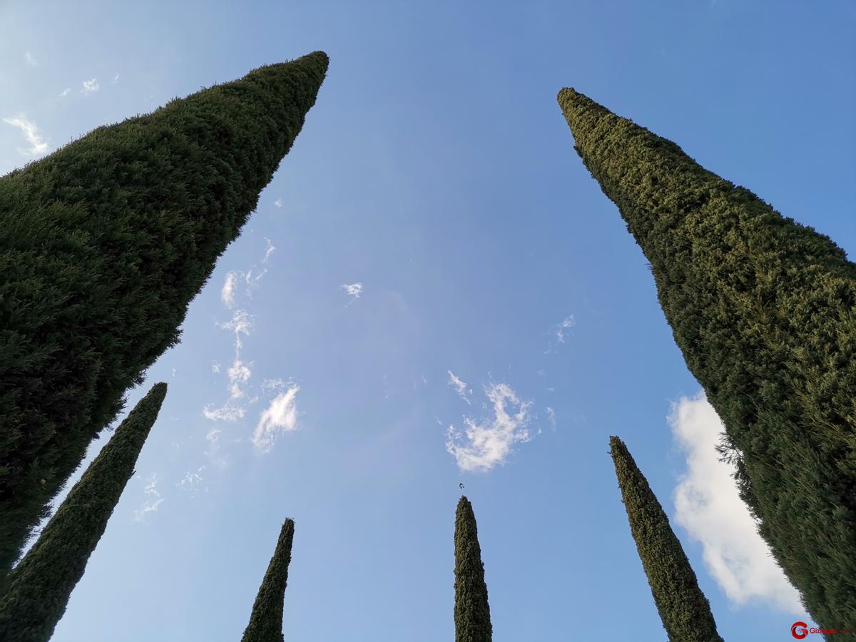 Cámara Honor View 20