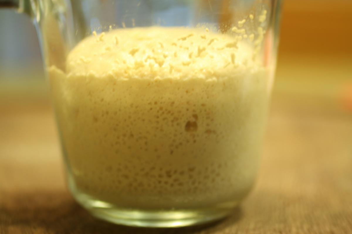 levadura con agua en un vaso de vidrio