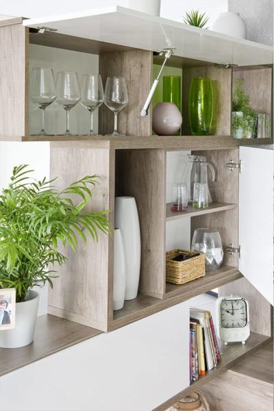 Plantas en el Feng Shui