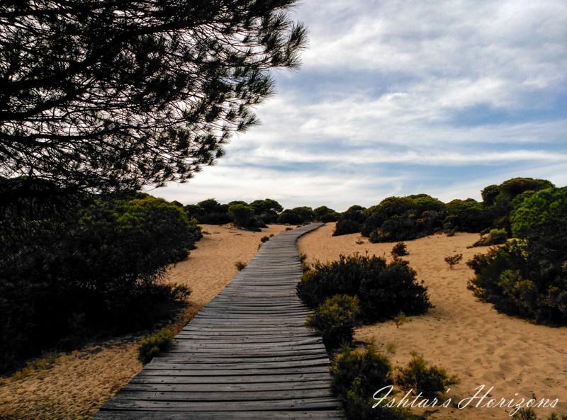 playas de Huelva
