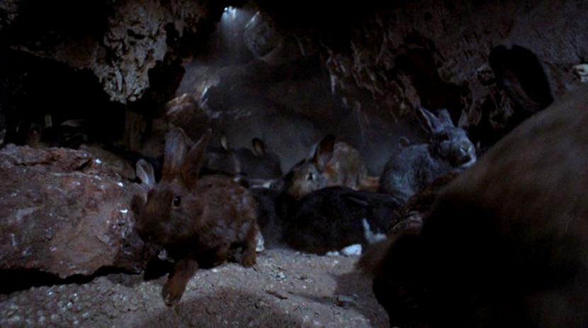 Night of the Lepus