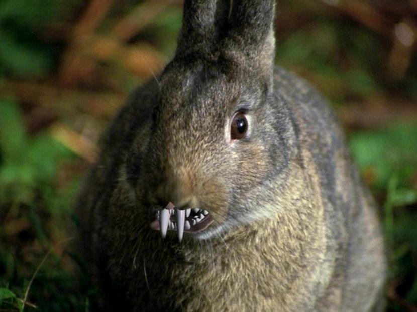 La bestia de Caerbannog