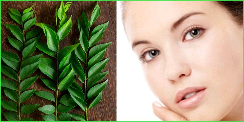 Beneficios de las hojas de curry en el cabello