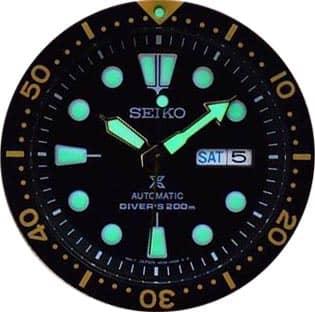 lume Seiko Tortuga