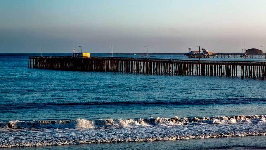 santa cruz estados unidos