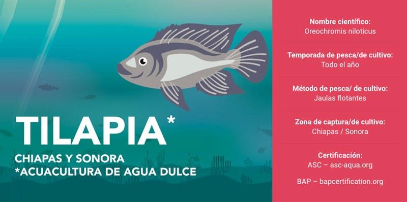 Donde comprar pescado sustentable en CDMX