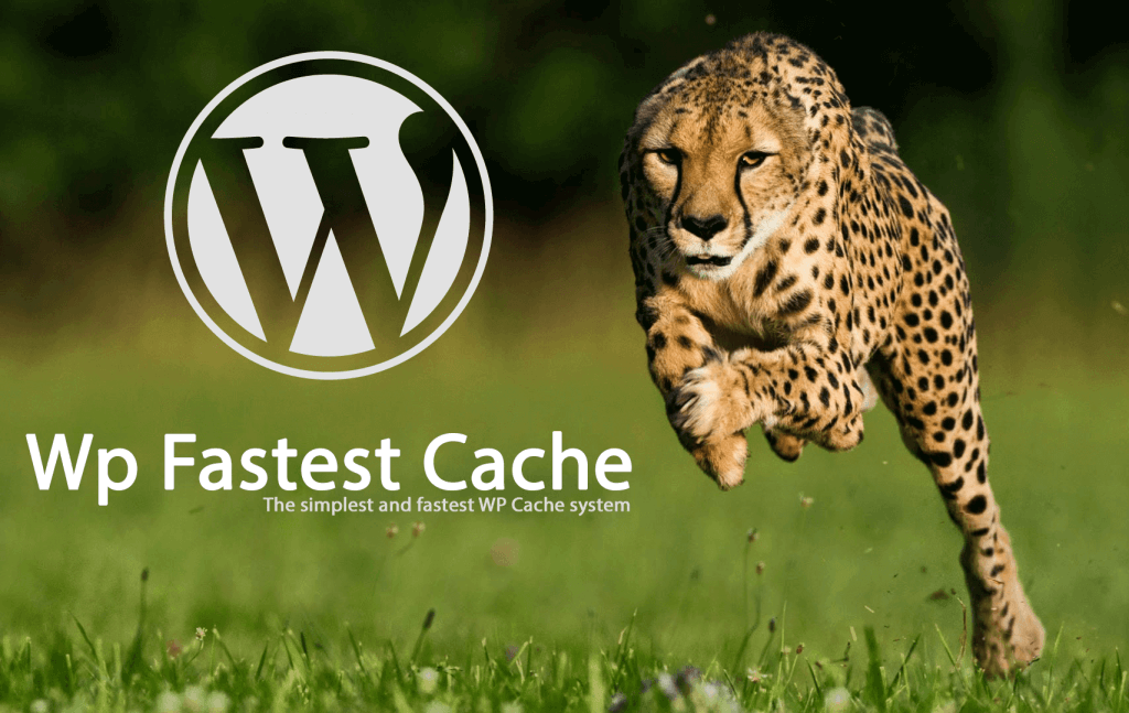 Los mejores plugins de wordpress para optimizar la caché wp fastes cache