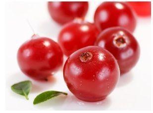 frutos rojos para la infeccion de orina