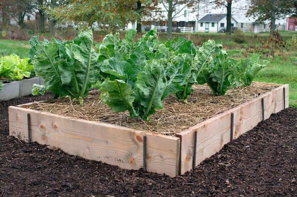 raised-bed-planks