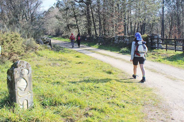 Peregrinos caminando por sender y verde alrededor