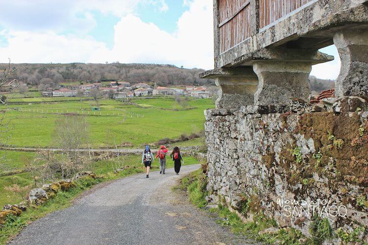 peregrinas caminando por ladera verder