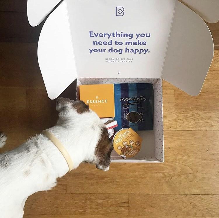 Descubriendo-la-barkyn-box