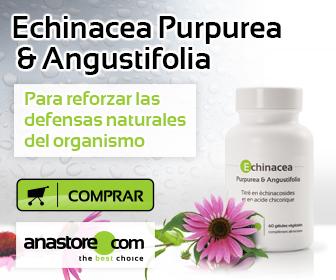 Echinacea Purpurea & Angustifolia