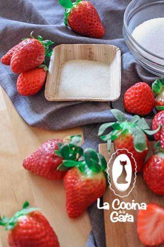 Gelatina en polvo neutra