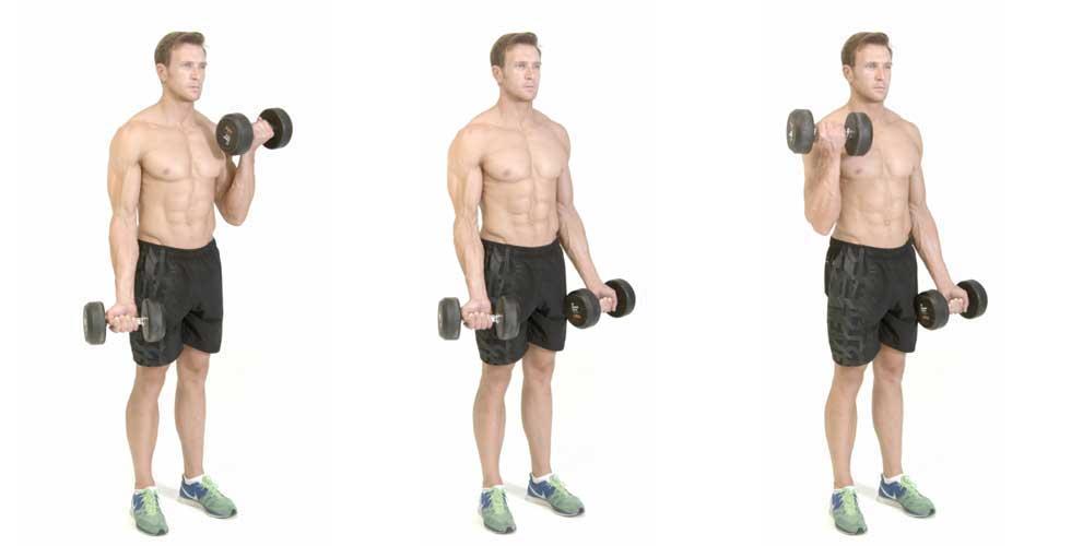 Mejores ejercicios para bíceps en casa