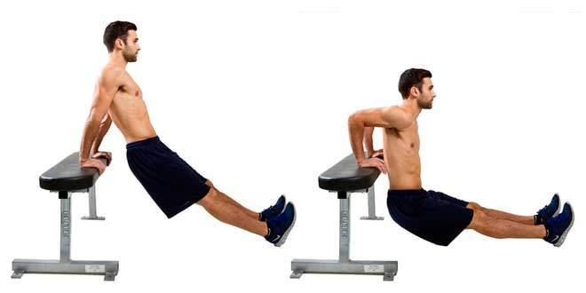 Mejores ejercicios para bíceps en casa