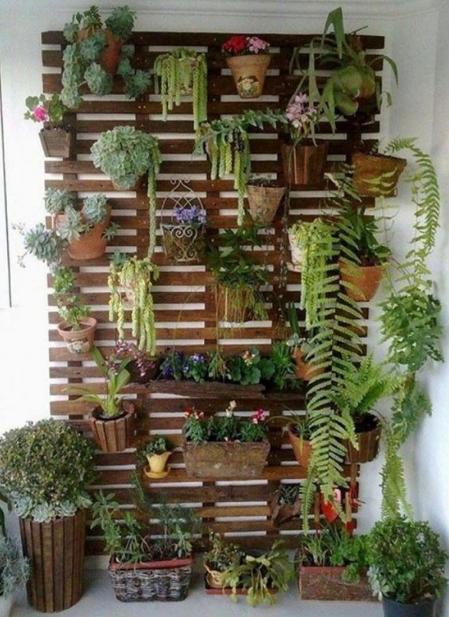 Jardín vertical. Vía Dicoro.