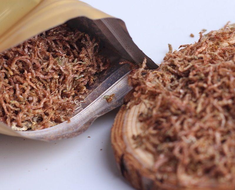 comida natural para peces de acuario